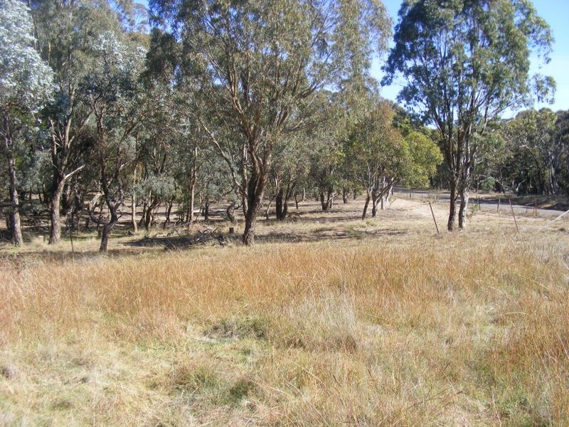 711 Mountain Ash Road, Goulburn NSW 2580