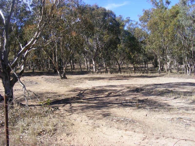 711 Mountain Ash Road, Goulburn NSW 2580