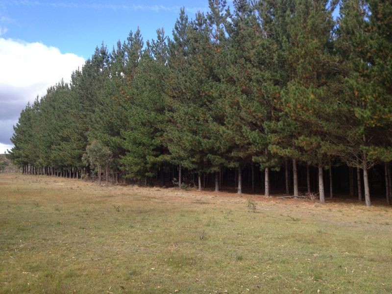 282 Old Station Road Curruweela, Taralga NSW 2580