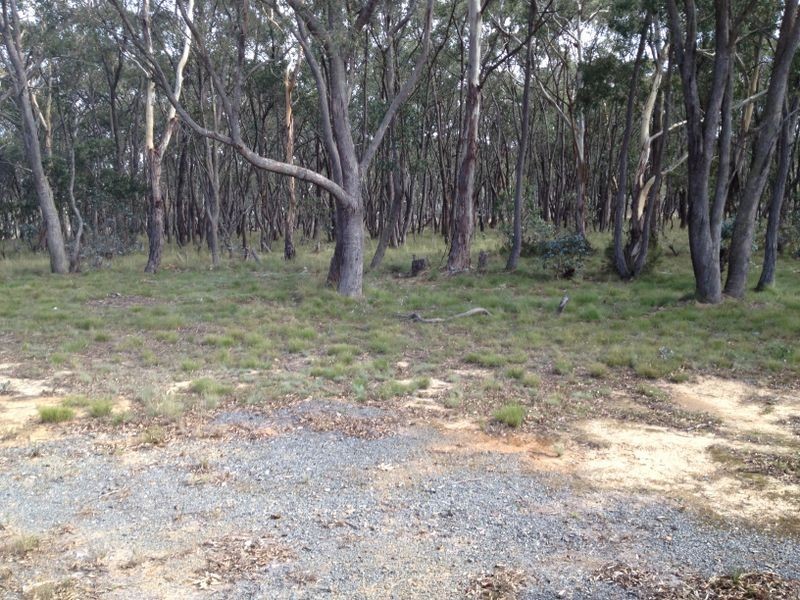 282 Old Station Road Curruweela, Taralga NSW 2580