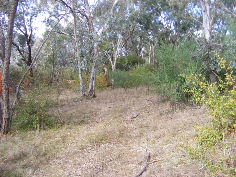 199 Slocombe Street, Goulburn NSW 2580