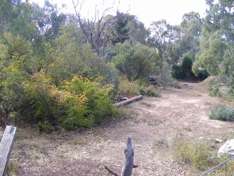 199 Slocombe Street, Goulburn NSW 2580