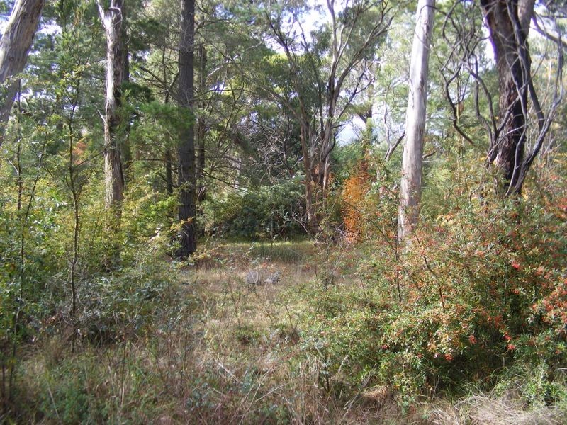 199 Slocombe Street, Goulburn NSW 2580