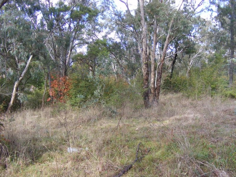 199 Slocombe Street, Goulburn NSW 2580