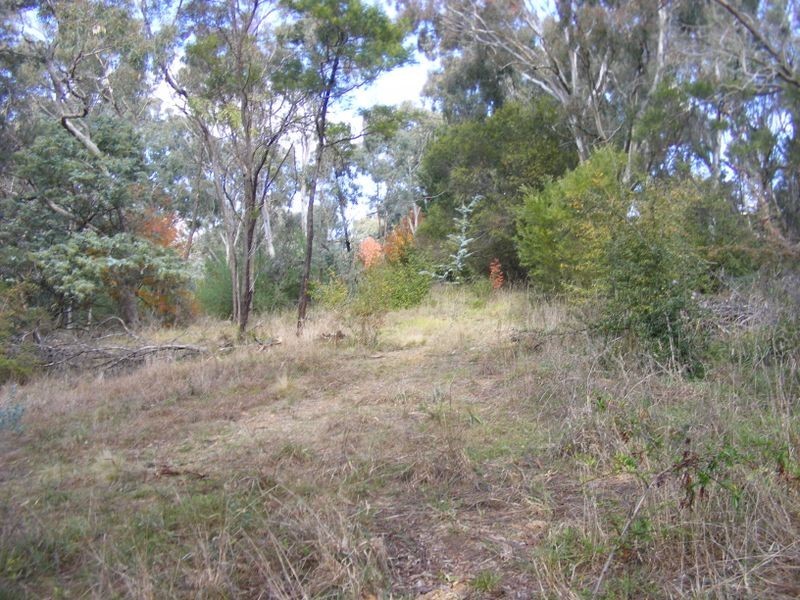 199 Slocombe Street, Goulburn NSW 2580