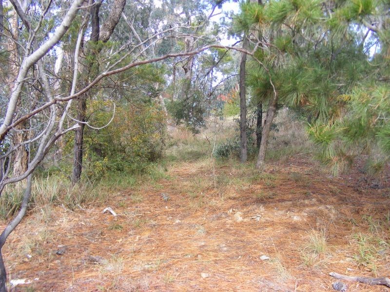 199 Slocombe Street, Goulburn NSW 2580