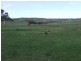 172 Greendale Road, Dalton NSW 2581