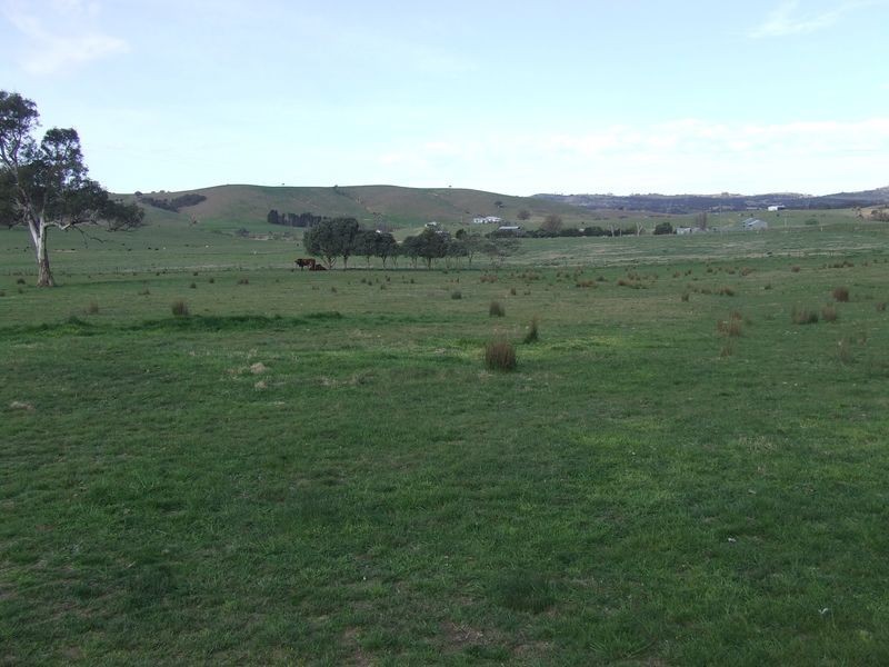 172 Greendale Road, Dalton NSW 2581