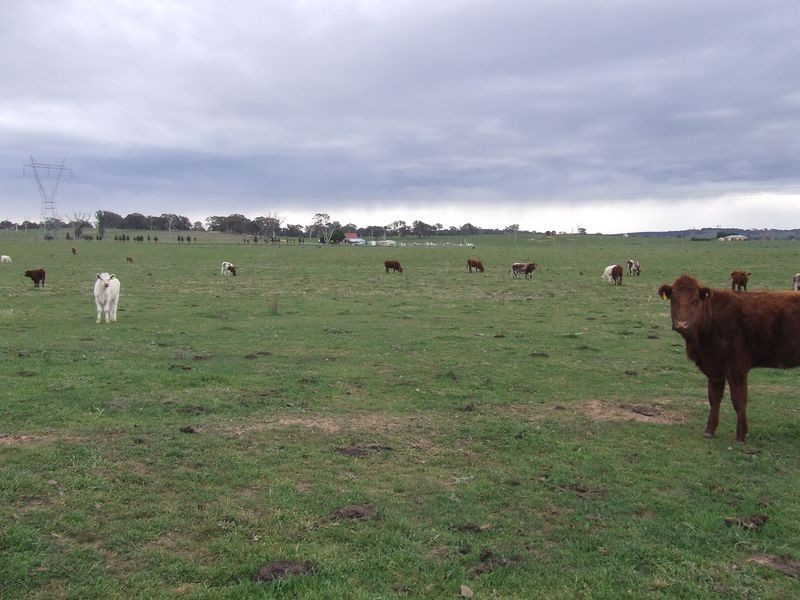 56 57 58 5 Lower Greendale Road, Dalton NSW 2581