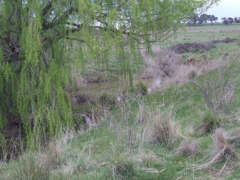 56 57 58 5 Lower Greendale Road, Dalton NSW 2581