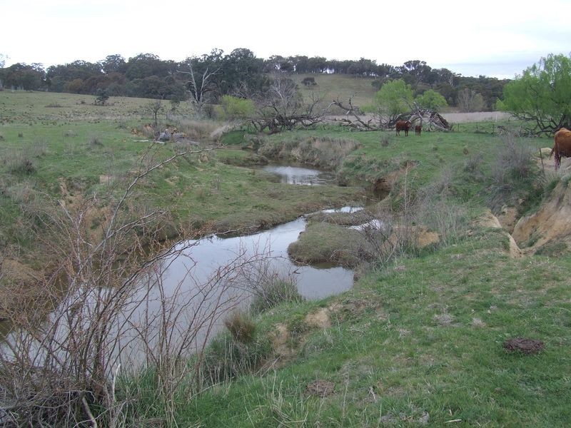 56 57 58 5 Lower Greendale Road, Dalton NSW 2581