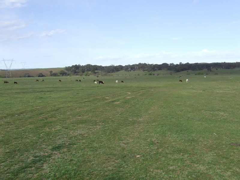 56 57 58 5 Lower Greendale Road, Dalton NSW 2581