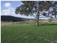 723 Lower Boro Road, Tarago NSW 2580