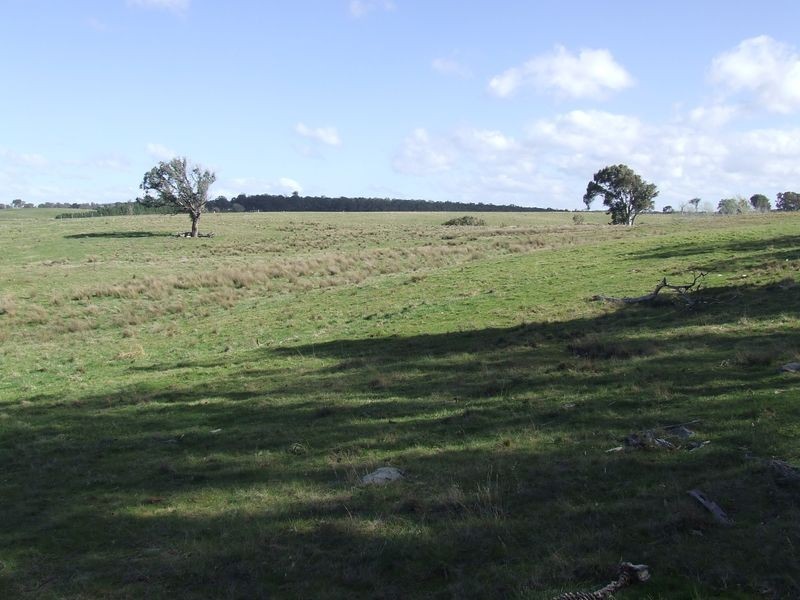 723 Lower Boro Road, Tarago NSW 2580