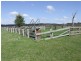 723 Lower Boro Road, Tarago NSW 2580