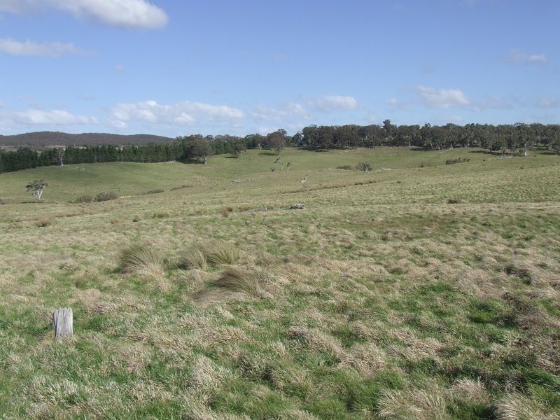 723 Lower Boro Road, Tarago NSW 2580