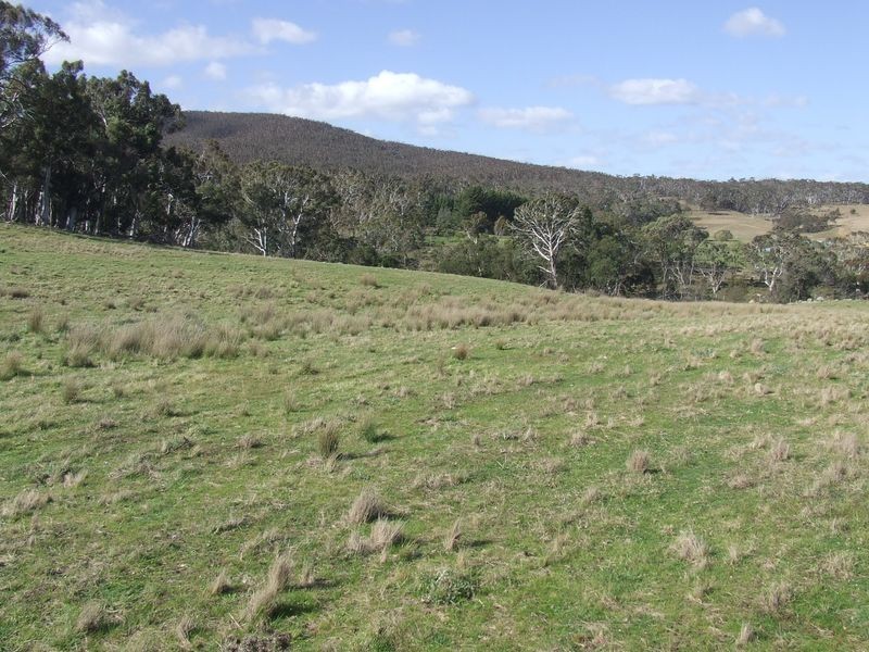 723 Lower Boro Road, Tarago NSW 2580