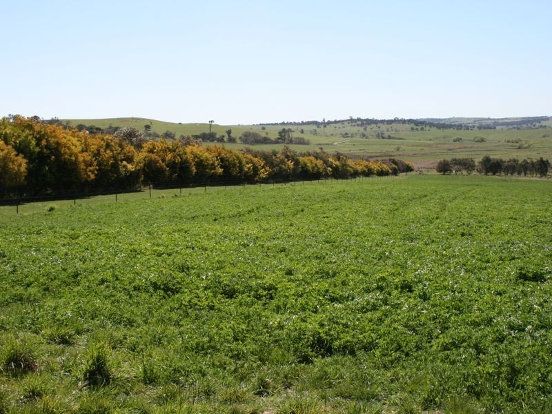 Lot 2 Curr Taralga Road Laggan, Crookwell NSW 2583