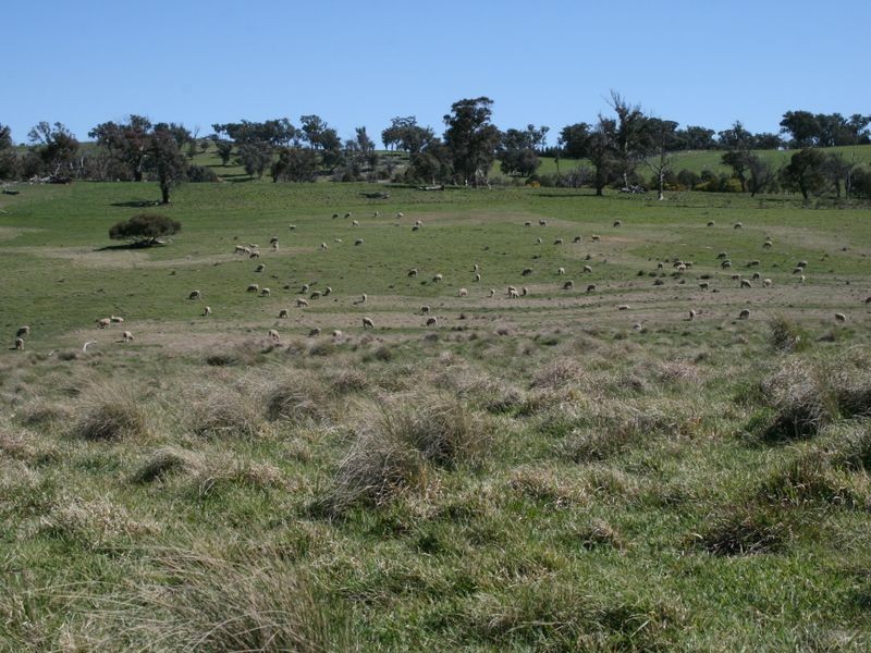 Lot 2 Curr Taralga Road Laggan, Crookwell NSW 2583