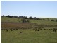 Lot 5 Curralee Taralga Road Laggan, Crookwell NSW 2583