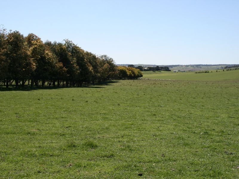 Lot 5 Curralee Taralga Road Laggan, Crookwell NSW 2583