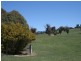 Lot 5 Curralee Taralga Road Laggan, Crookwell NSW 2583