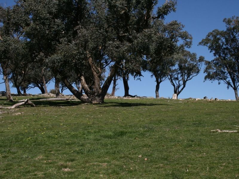 Lot 5 Curralee Taralga Road Laggan, Crookwell NSW 2583