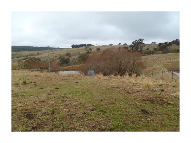 1634 Wheeo Road, Wheeo NSW 2583