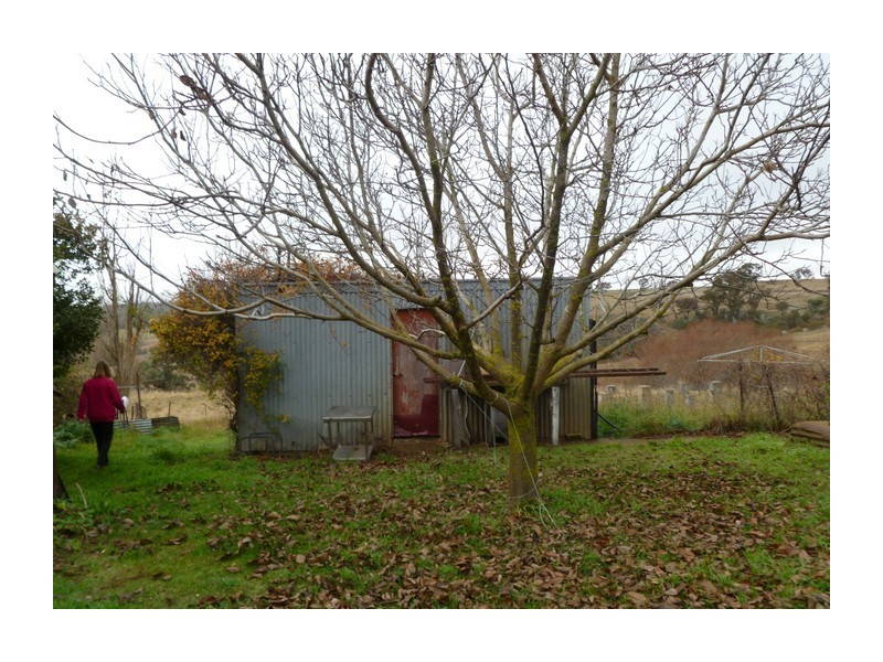 1634 Wheeo Road, Wheeo NSW 2583