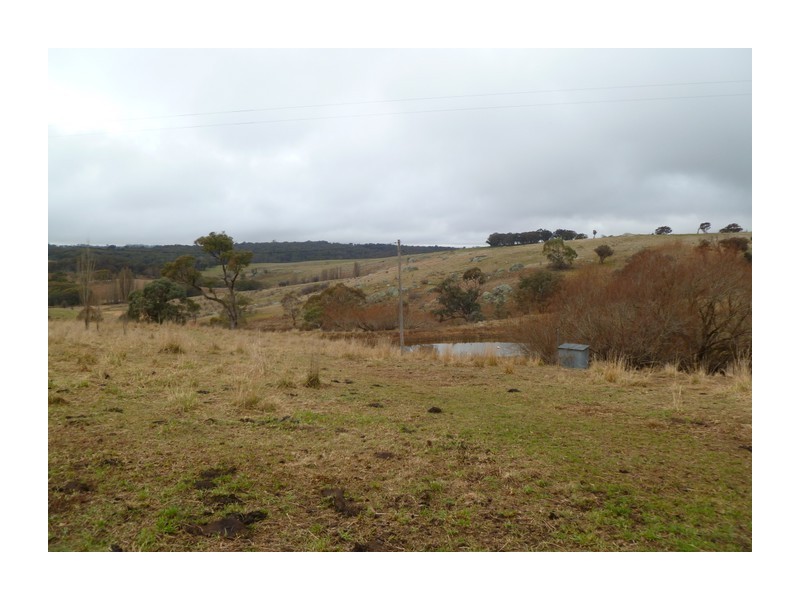 1634 Wheeo Road, Wheeo NSW 2583