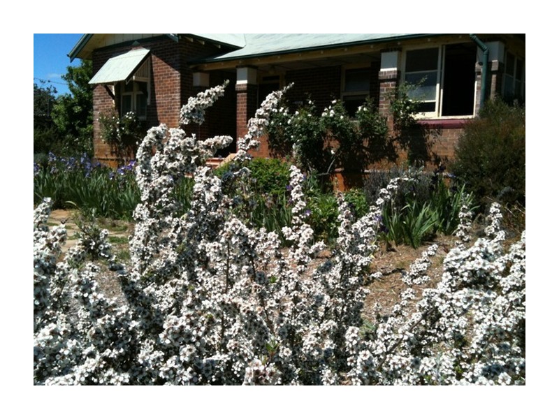 1634 Wheeo Road, Wheeo NSW 2583