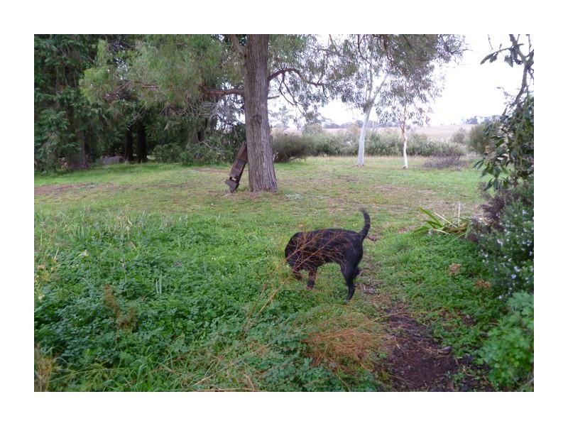 1634 Wheeo Road, Wheeo NSW 2583