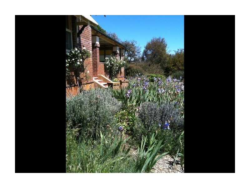 1634 Wheeo Road, Wheeo NSW 2583