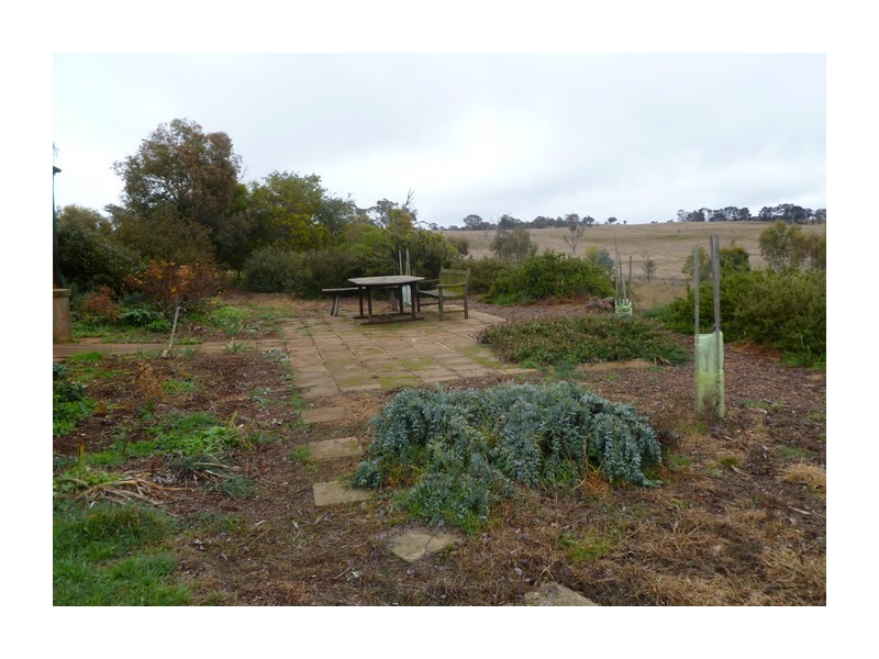 1634 Wheeo Road, Wheeo NSW 2583