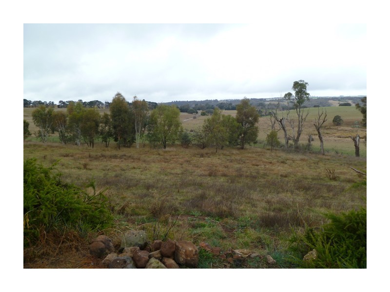 1634 Wheeo Road, Wheeo NSW 2583