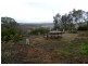 1634 Wheeo Road, Wheeo NSW 2583