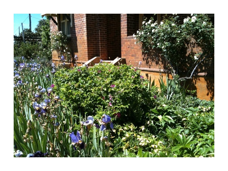 1634 Wheeo Road, Wheeo NSW 2583