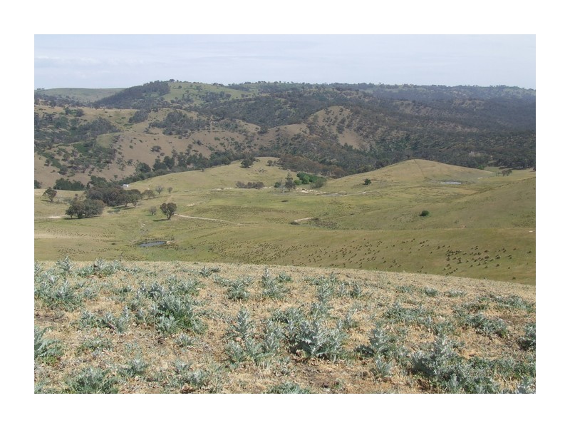 Lots 11- 7 Levels Road, Golspie NSW 2580