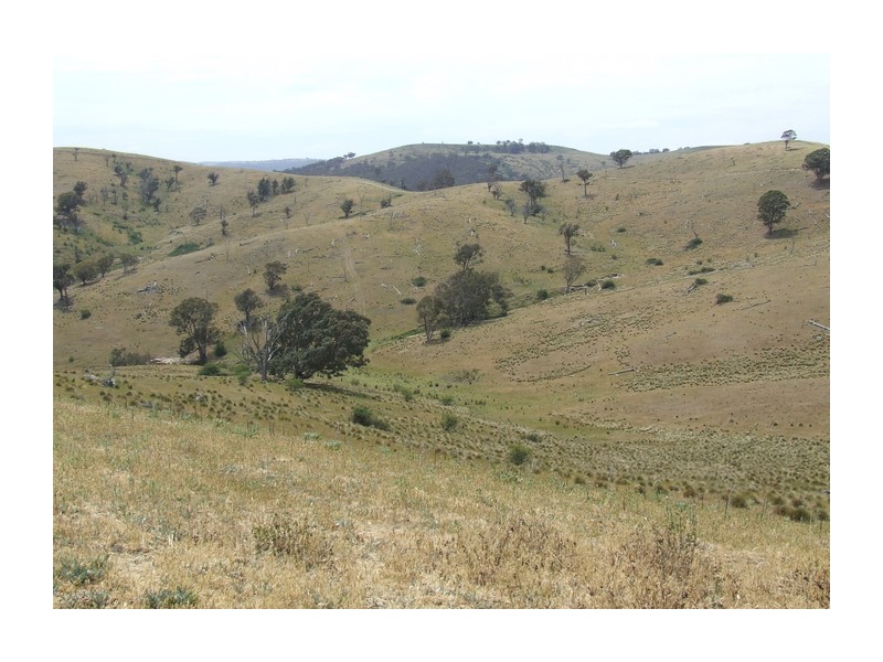 Lots 11- 7 Levels Road, Golspie NSW 2580