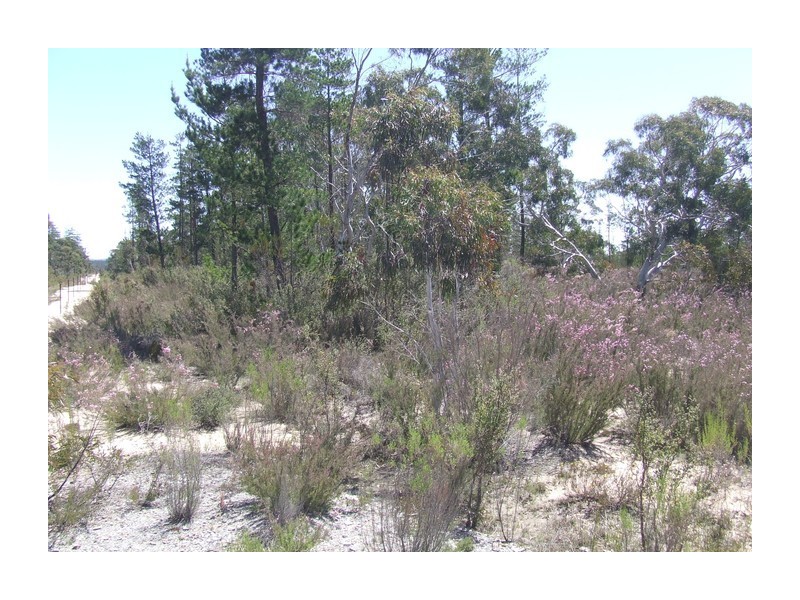 Lot 144 Sweeney Drive Oallen, Windellama NSW 2580