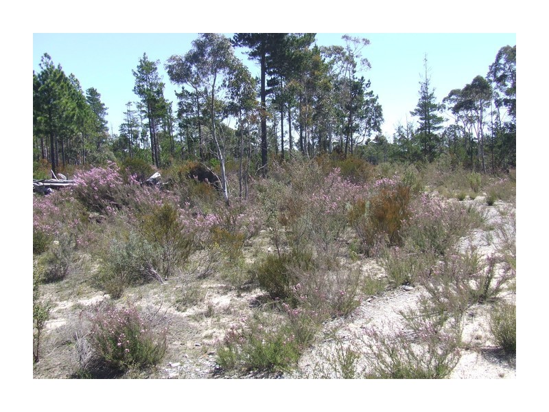 Lot 143 Sweeney Drive Oallen, Windellama NSW 2580