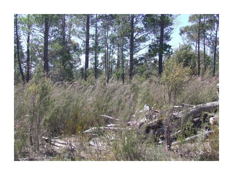 Lot 143 Sweeney Drive Oallen, Windellama NSW 2580