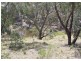 Lot 12 Towrang Road, Greenwich Park NSW 2580