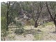 Lot 12 Towrang Road, Greenwich Park NSW 2580