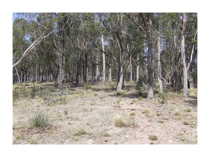 Lot 12 Towrang Road, Greenwich Park NSW 2580