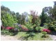 1643 Mountain Ash Road, Bungonia NSW 2580