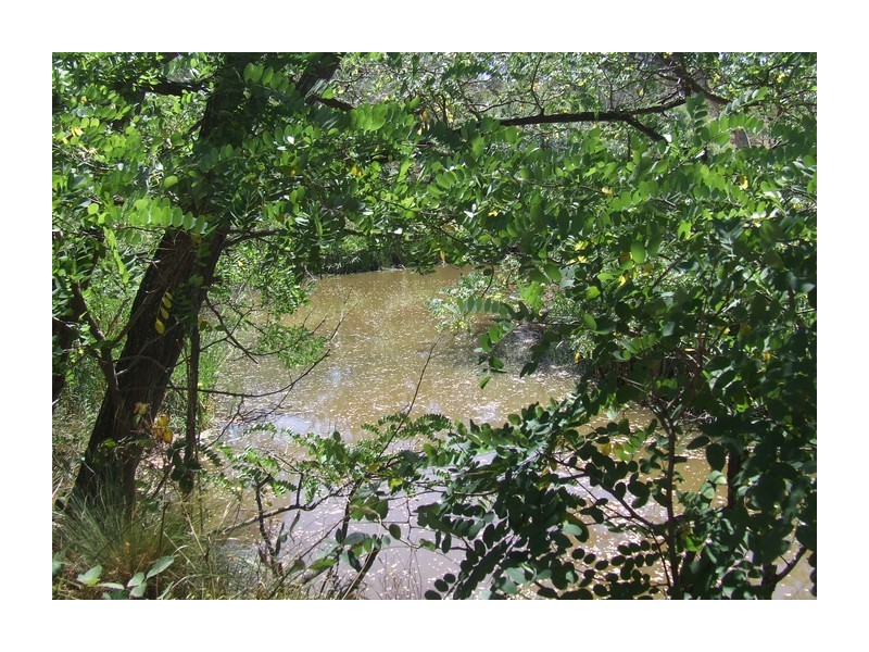 4517 Oallen Ford Road, Bungonia NSW 2580