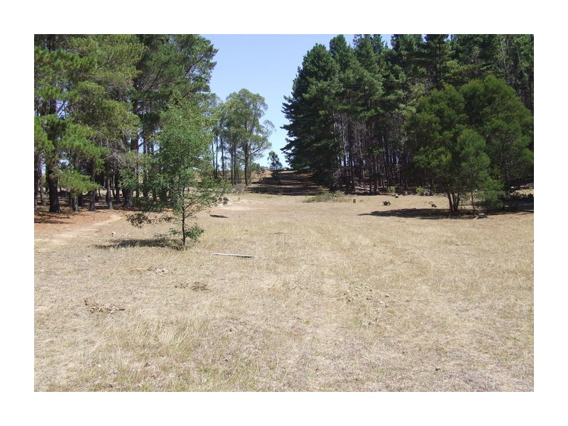 4517 Oallen Ford Road, Bungonia NSW 2580