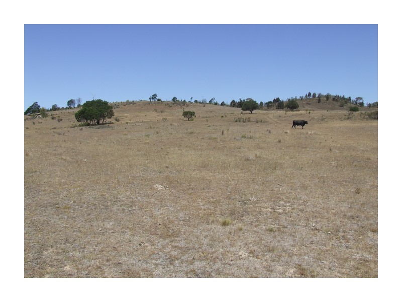 4517 Oallen Ford Road, Bungonia NSW 2580