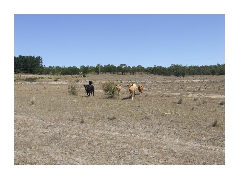 4517 Oallen Ford Road, Bungonia NSW 2580